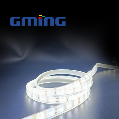 5 M / Cuộn SMD 2835 LED Strip 120 Đèn Đơn sắc IP67 Tay áo chống thấm nước