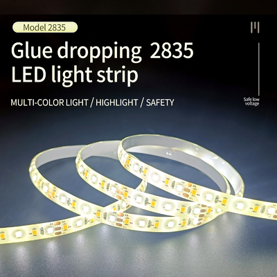 Dải đèn LED 12V/24V có thể điều chỉnh độ sáng SMD 2835 Đèn neon mềm chống nước theo tiêu chuẩn IP65