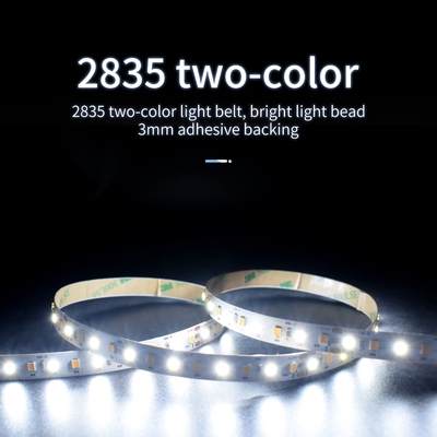 Thang cuốn Dải đèn LED SMD 2835 Chiếu sáng ngoài trời trong nhà 12V 24V